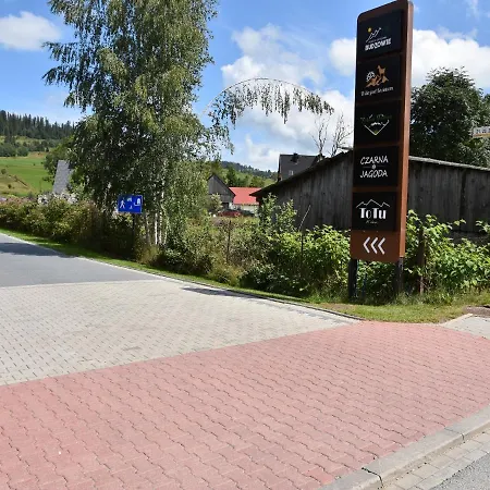 Homestay Goscinne Budzowie Czarna Gora