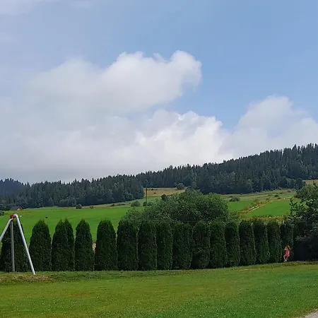 Goscinne Budzowie