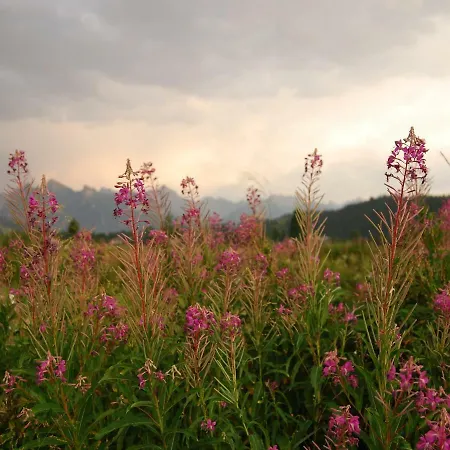 Goscinne Budzowie Ubytování v soukromí Czarna Góra